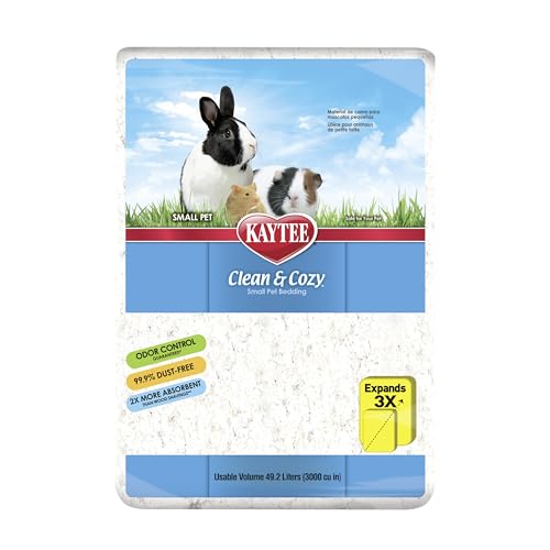 Best Bedding for Chinchillas