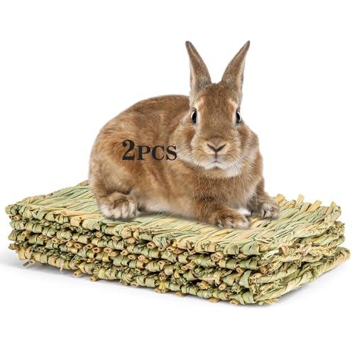 Best Bedding for Outdoor Rabbits