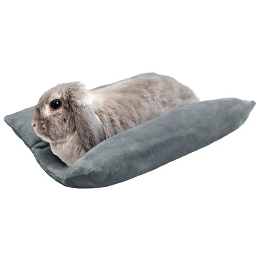 Best Beds for Rabbits