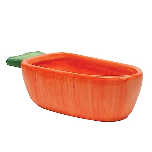 Best Bowls for Rabbits