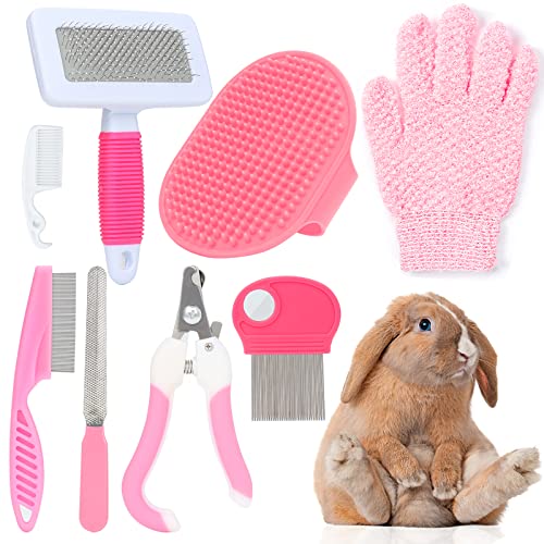 Best Brush for Mini Rex Rabbit