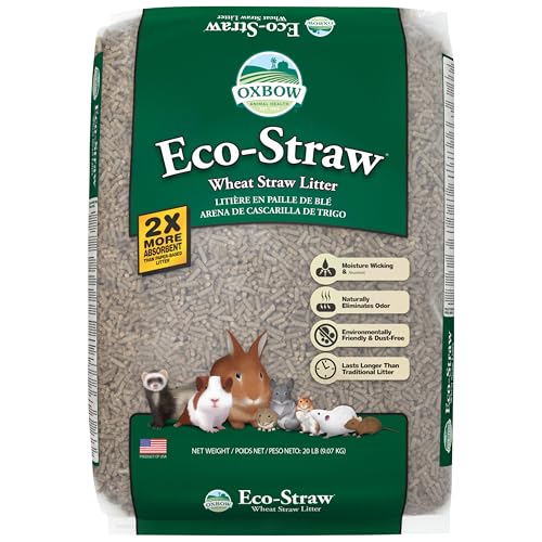 Best Cat Litter for Rabbits