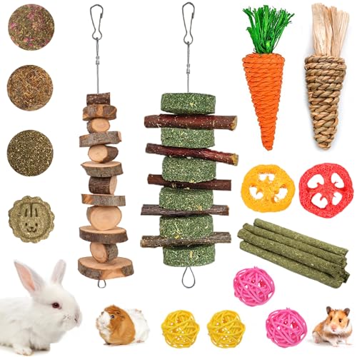 Best Chew Toys for Rabbits