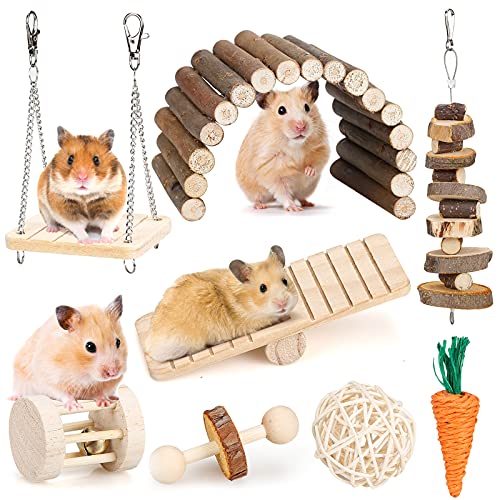 Best Hamster Toys