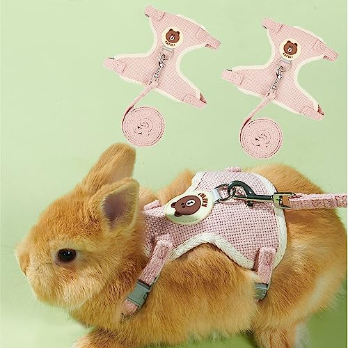 Best Harness for Dwarf Rabbit