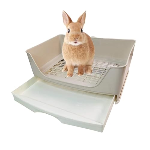 Best Litter Box for Rabbits