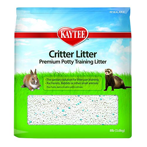 Best Litter for Rabbit Litter Box