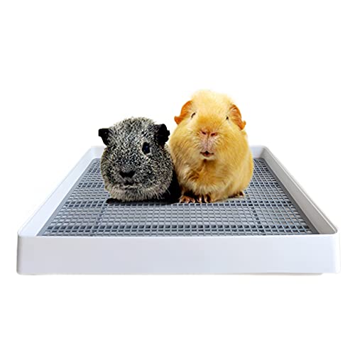 Best Litter Tray for Rabbits