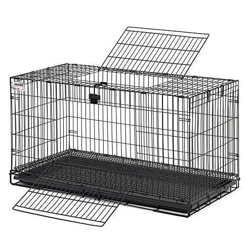 Best Rabbit Cages for Indoor Rabbits