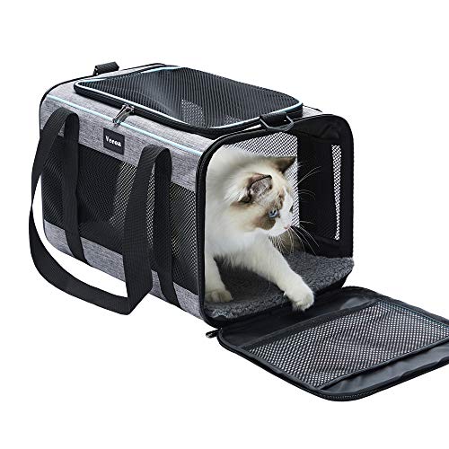 Best Rabbit Carrier