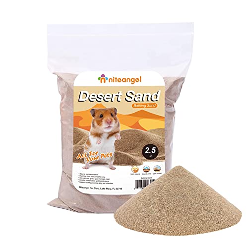Best Sand for Hamster