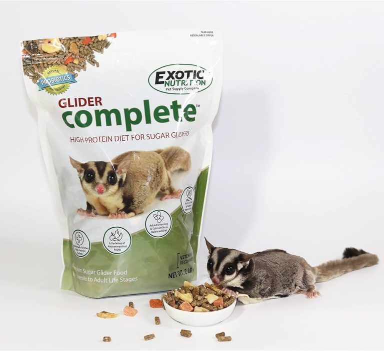 Best Sugar Glider Food: Top Nutritionally Complete Diets for Your Pet