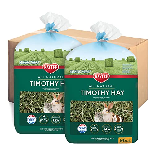 Best Timothy Hay for Rabbits