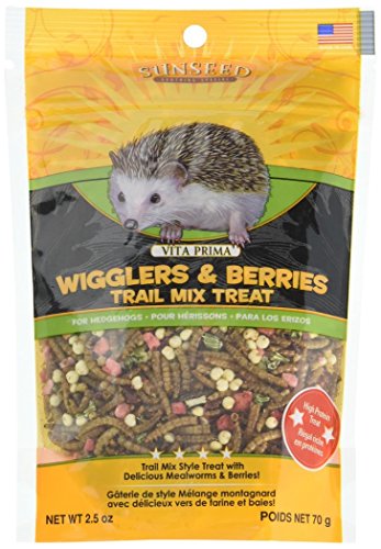 Best Treats for Hedgehogs