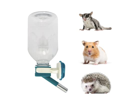 Best Water Bottle for Hedgehog