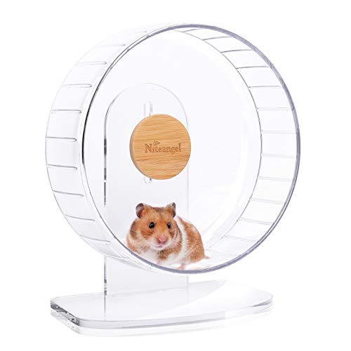 Best Wheel for Syrian Hamster