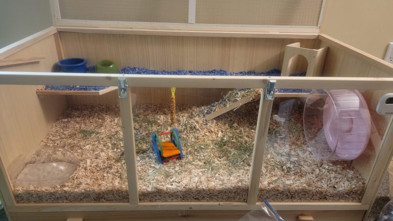 How Often Do You Change Hamster Bedding