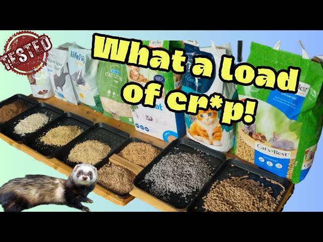 Can I Use Cat Litter for Ferrets
