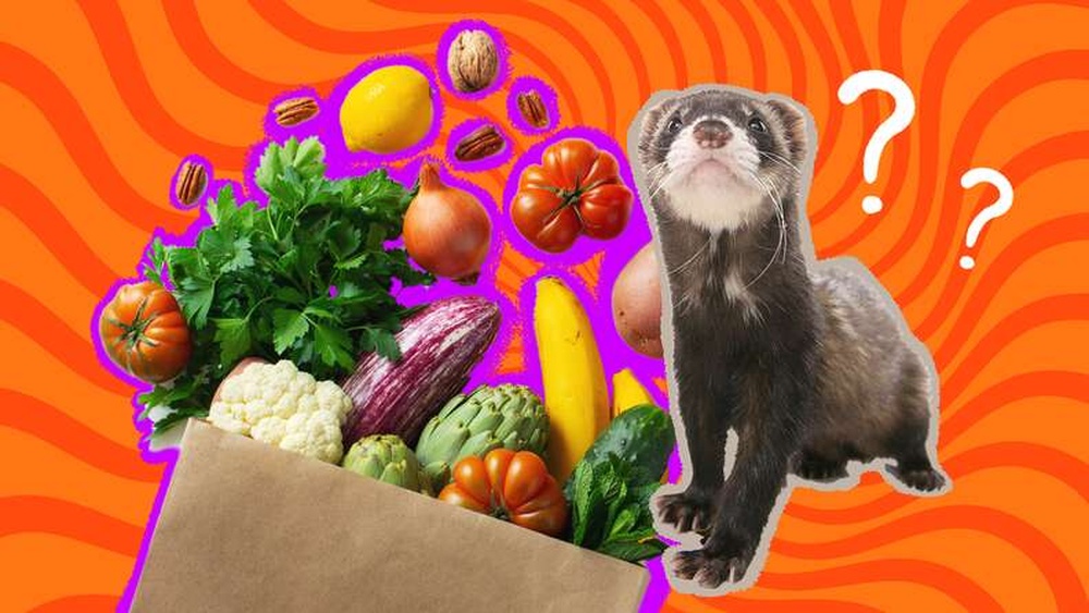 Can Ferrets Eat Carrots