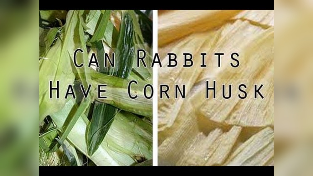 Can Rabbits Eat Corn Leaves