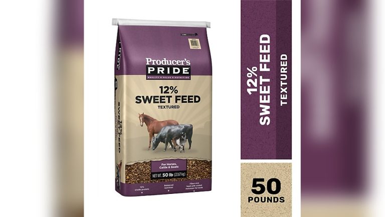 Can Rabbits Eat Sweet Feed