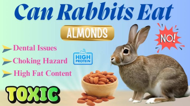 Can Rabbits Have Almonds