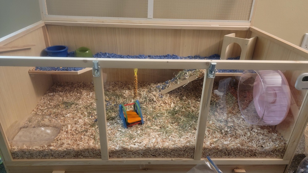 How Often Do You Change Hamster Bedding